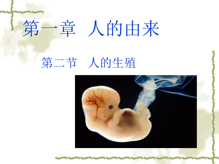 鲁科版七年级生物上册《第二节人的生殖》课件.ppt_第2页