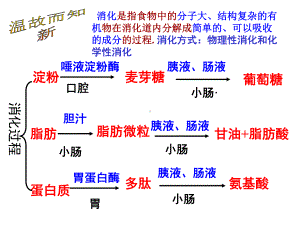 第二章第三节合理营养与食品安全课件.ppt