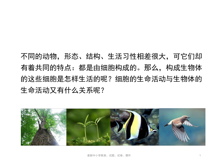 七年级生物上册32细胞是生命活动的单位优教课件北师大版.ppt_第1页