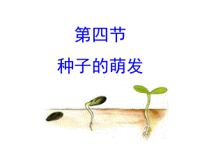 《第四节种子的萌发》课件.ppt