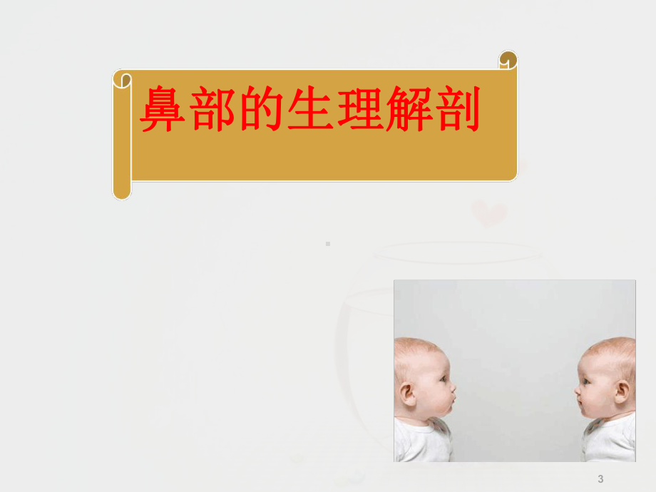 鼻出血的护理课件-2.ppt_第3页