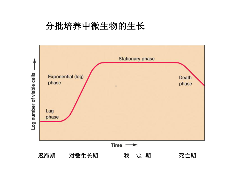 第五章发酵工艺控制3课件.ppt_第2页