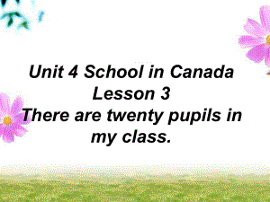 鲁科版五年级英语上册课件Unit4SchoolinCanadaLesson3Therearetwentypupilsinmyclass.ppt