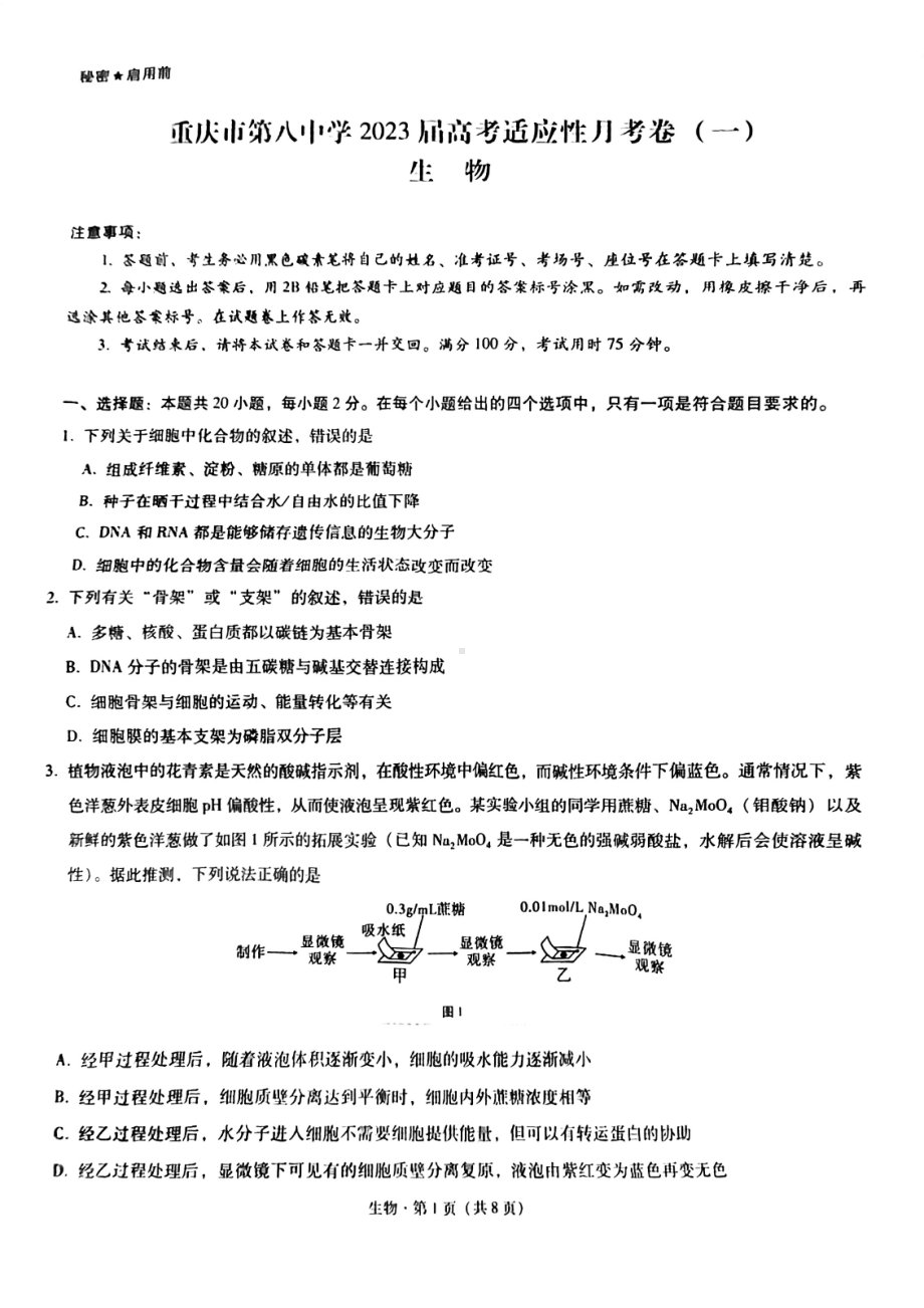 重庆市第八 2022-2023学年高三上学期适应性月考卷（一）生物试题.pdf_第1页