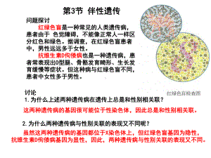 （人教版新教材）《伴性遗传》优质课件2.pptx