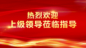 热烈欢迎上级领导莅临指导动态模板课件.pptx