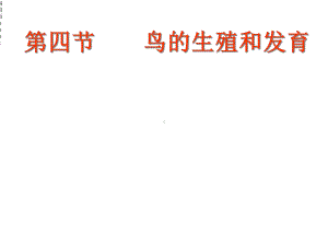 第四节鸟的生殖和发育15896课件.ppt