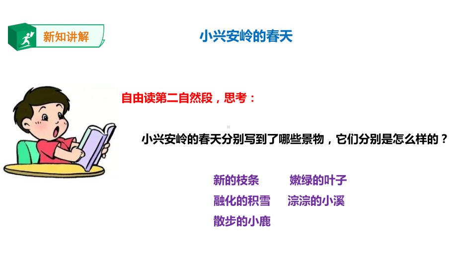 《美丽的小兴安岭》第二课时课件.ppt_第3页