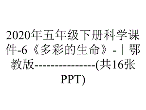 2020年五年级下册科学课件-6《多彩的生命》-｜鄂教版-(共16张PPT).ppt