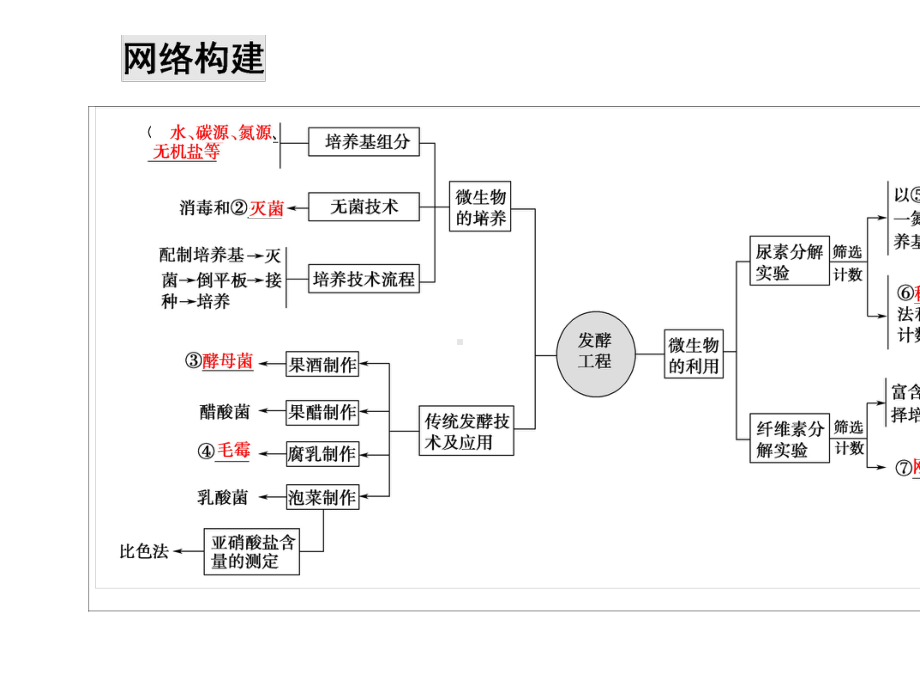 2021新高考生物课件：7-发酵工程-.ppt_第3页