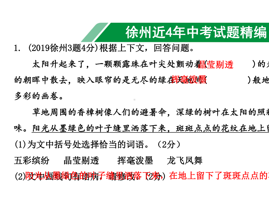 2020年徐州中考语文专题三-语段综合.ppt_第2页