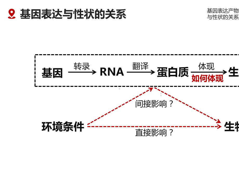 2020-2021学年高一下学期生物人教版必修二-4.2基因表达与性状的关系-课件.pptx_第3页