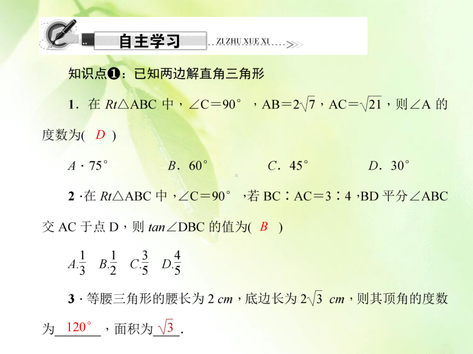 2821《解直角三角形》练习题课件.ppt_第2页