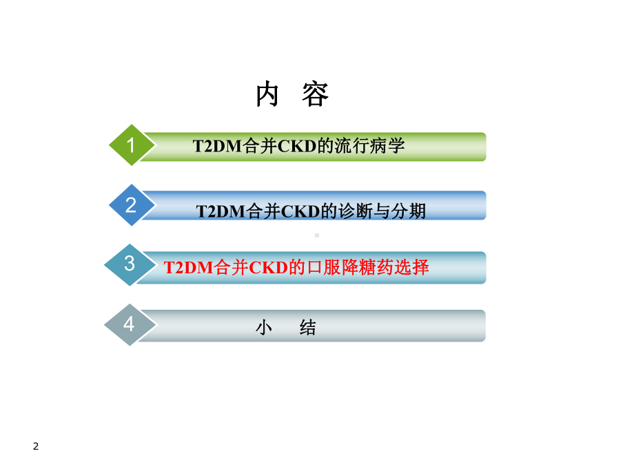 2型糖尿病合并慢性肾脏病患者口服降糖药用药原则(苏海华).ppt_第2页