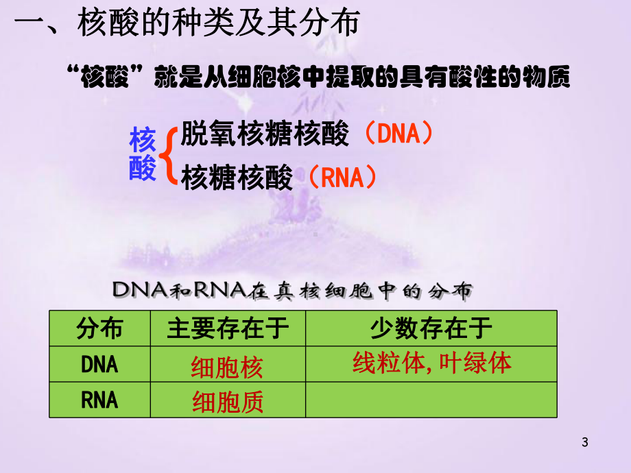 25核酸是遗传信息的携带者课件（新教材）人教版高中生物必修一(共15张).pptx_第3页