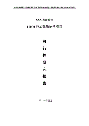 11000吨加弹涤纶丝项目申请备案可行性研究报告.doc