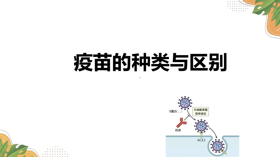 2022年高考生物一轮复习重难点精讲课件疫苗的种类与区别.pptx_第1页