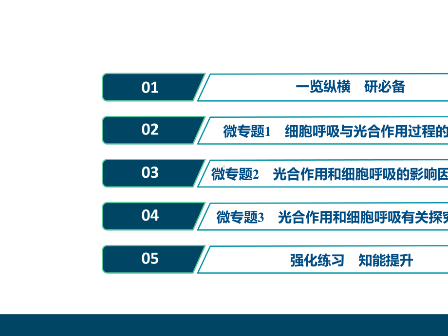 (新高考)2020高考生物二轮复习第一部分专题突破方略板块二代谢专题五细胞呼吸与光合作用课件.ppt_第2页