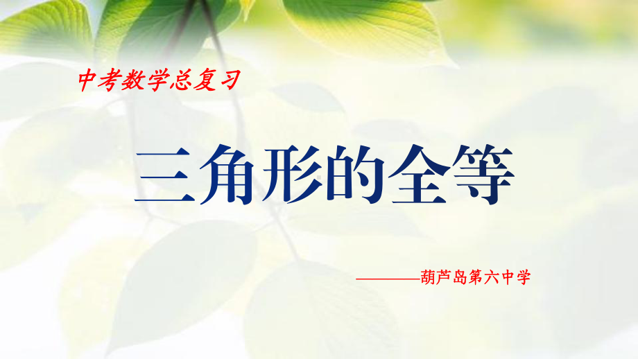 2020年中考数学总复习课件：三角形的全等(共30张).ppt_第1页