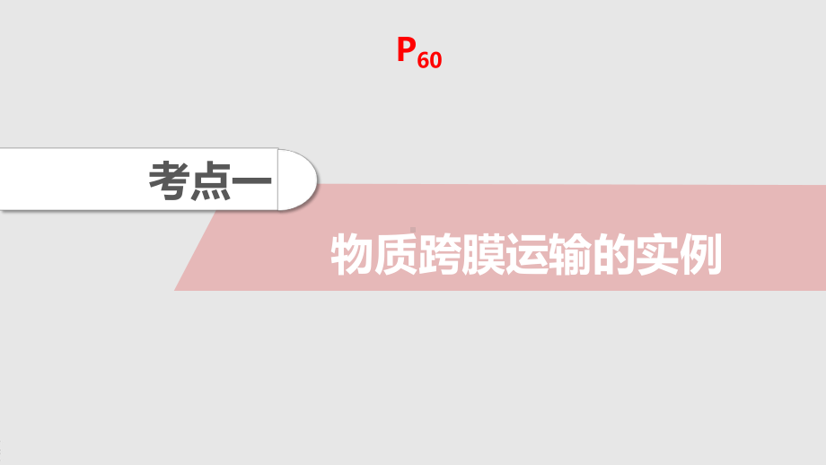 2022年高考人教版生物一轮复习课件细胞的物质输入和输出.pptx_第2页