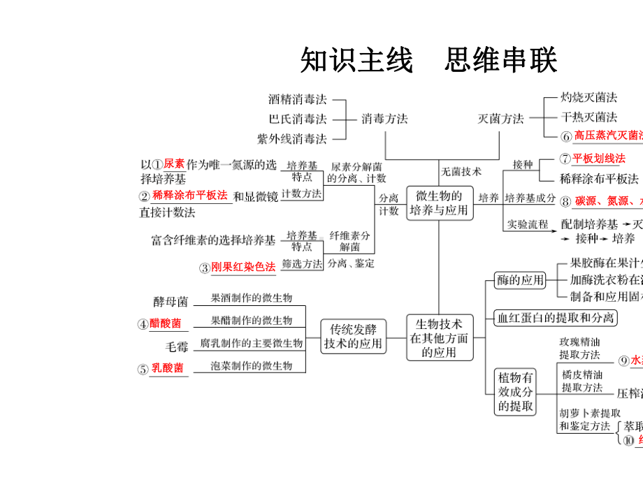 2020届-二轮复习-生物技术实践-课件-47-张-(全国通用).ppt_第2页