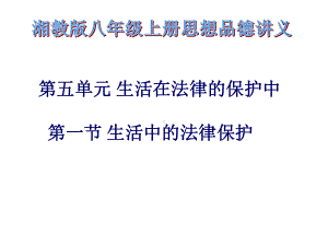 51生活中的法律保护讲义课件湘教版八年级上.ppt