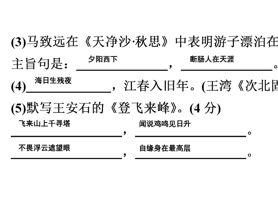 2021年中考语文专项训练：基础组合--8.pptx_第3页