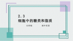 23细胞中的糖类和脂质课件（新教材）人教版高中生物必修一(共28张).pptx