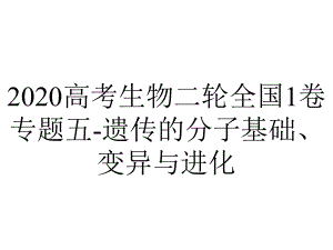 2020高考生物二轮全国1卷专题五-遗传的分子基础、变异与进化.ppt