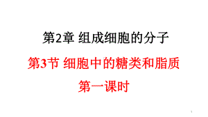 231细胞中的糖类和脂质课件（新教材）人教版高中生物必修一(共21张).pptx