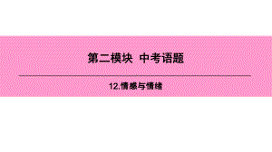 2020·新课标·中考宝典广东版·英语·课件第二模块12情感与情绪.ppt