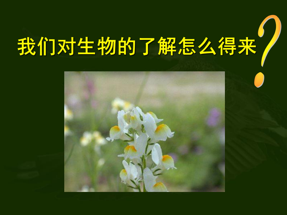 126调查周边环境中的生物课件新人教版七年级上册.ppt_第2页