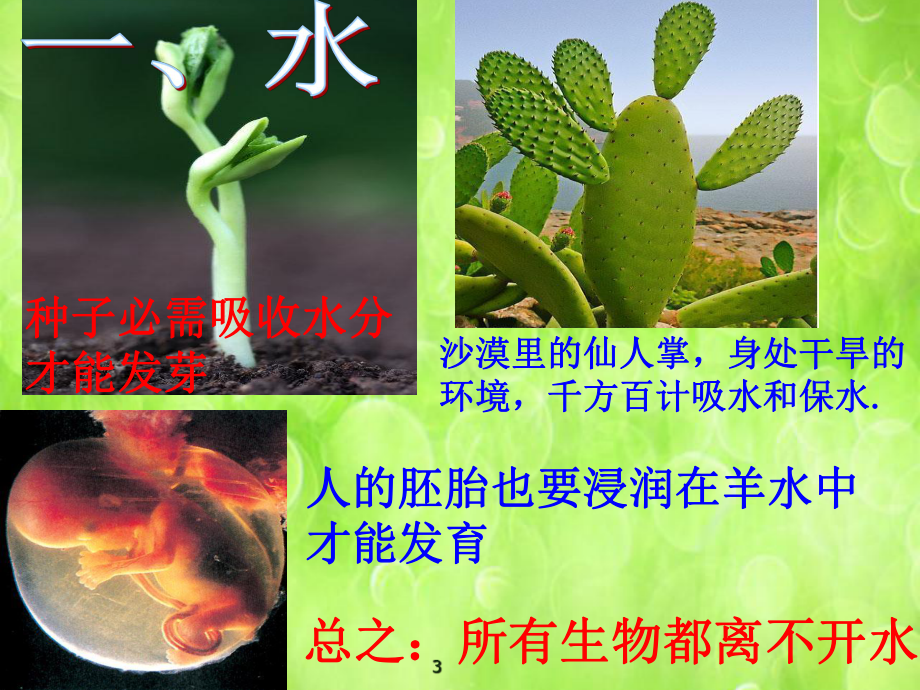 22细胞中的无机物课件（新教材）人教版高中生物必修一(共28张).pptx_第3页