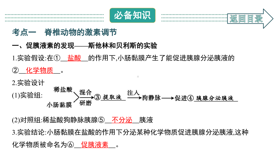 2021届一轮复习人教版人和高等动物的体液调节课件(80张).ppt_第2页