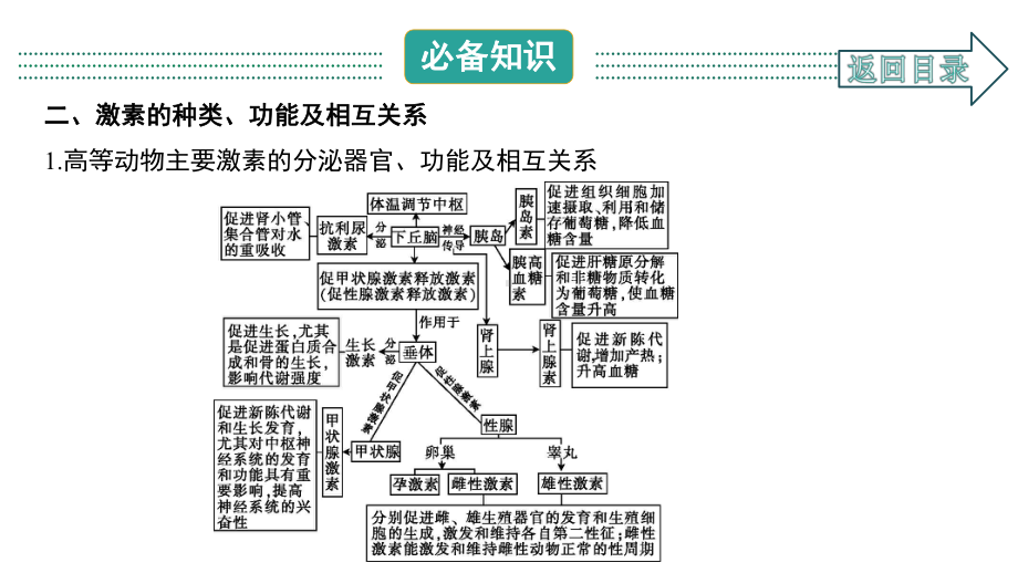 2021届一轮复习人教版人和高等动物的体液调节课件(80张).ppt_第3页