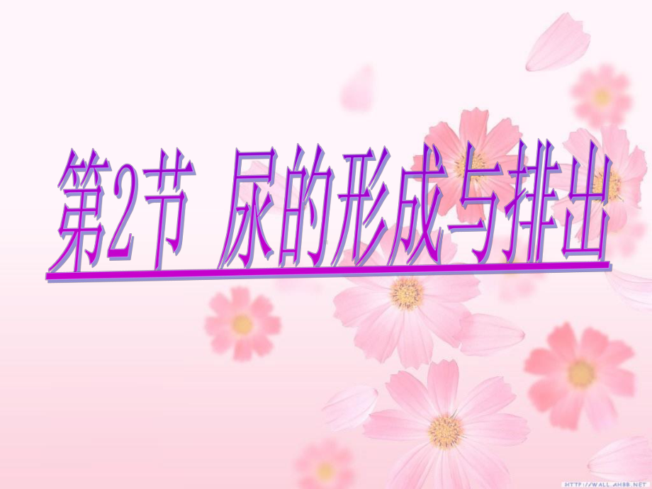 1124尿的形成与排出课件北师大七年级下.ppt_第1页