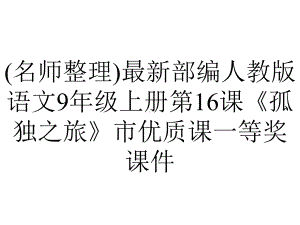 (名师整理)最新部编人教版语文9年级上册第16课《孤独之旅》市优质课一等奖课件.ppt