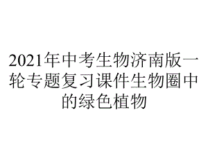 2021年中考生物济南版一轮专题复习课件生物圈中的绿色植物.pptx