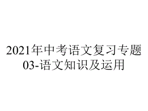 2021年中考语文复习专题03-语文知识及运用.pptx