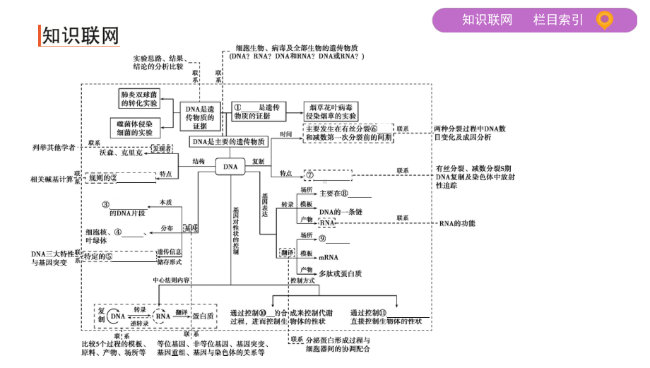 2020届二轮复习遗传的分子基础课件50张.ppt_第2页