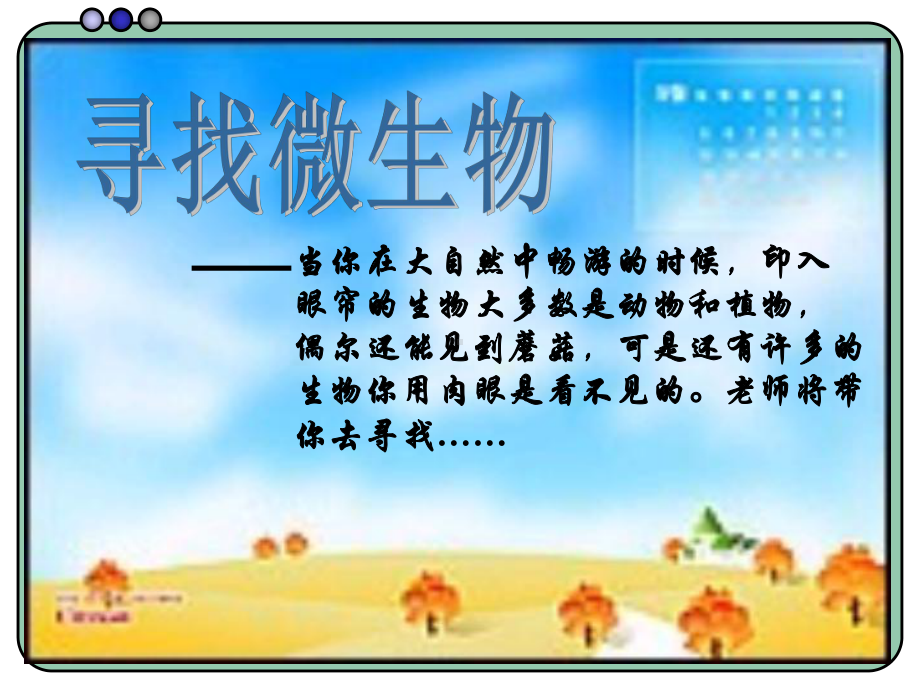 5132-土壤里的微生物-课件-.ppt_第3页