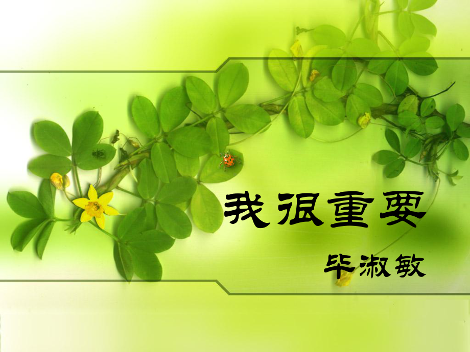 #《我很重要》课件.ppt_第1页