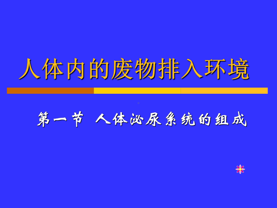 111人体泌尿系统的组成课件.ppt_第2页