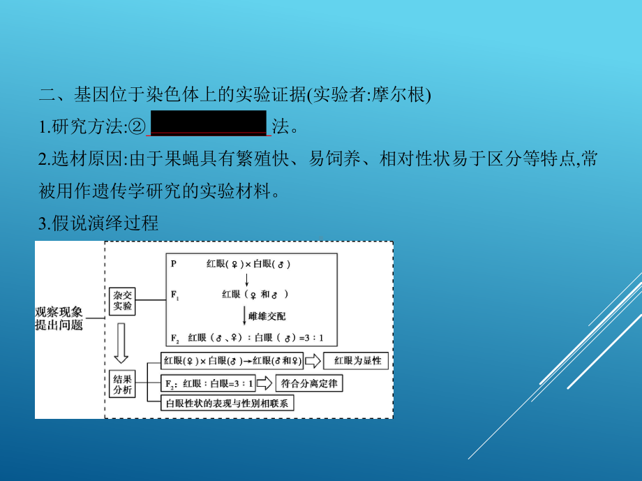 2021届一轮复习人教版伴性遗传和人类遗传病课件(19张).ppt_第3页