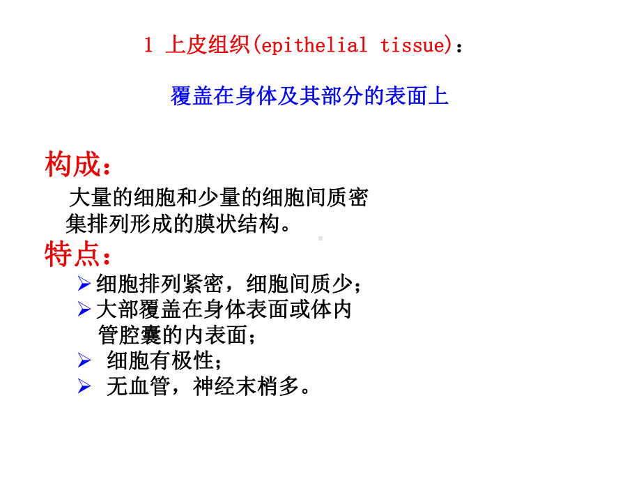 (完整)普通生物学-动物形态功能1ppt.ppt_第3页