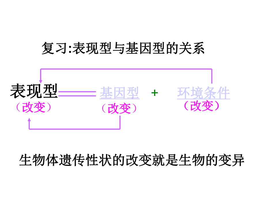 5.1基因突变和基因重组-课件(新人教版必修2).ppt_第2页