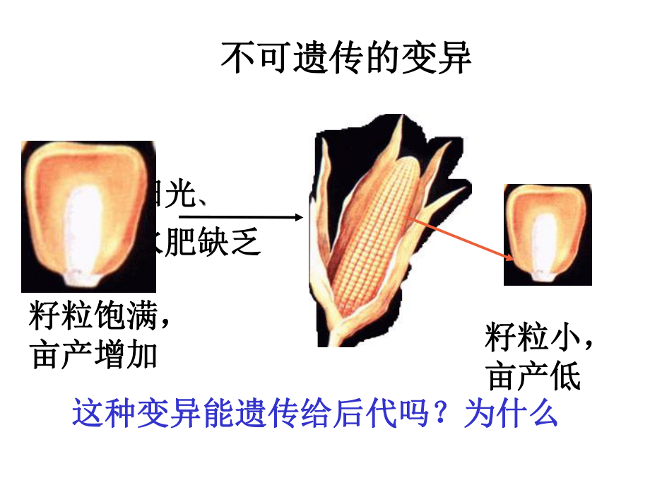 5.1基因突变和基因重组-课件(新人教版必修2).ppt_第3页