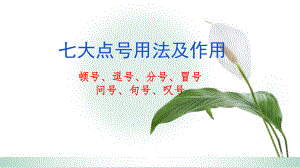 2023年中考语文一轮复习：正确使用标点符号之七大点号用法及作用+++课件（共49张ppt）.pptx