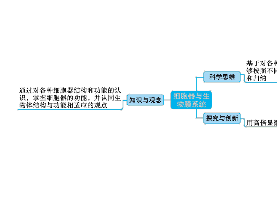 2022高考生物一轮复习第5讲细胞器与生物膜系统课件新人教版.ppt_第3页