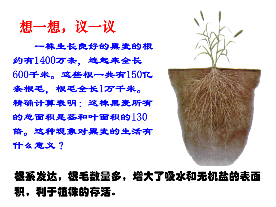 3.2.2植株的生长优秀课件.ppt_第2页